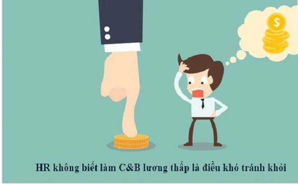 Một chuyên viên C&amp;B đang làm việc với máy tính và tài liệu, thể hiện vai trò quan trọng của bộ phận C&amp;B trong doanh nghiệp.
