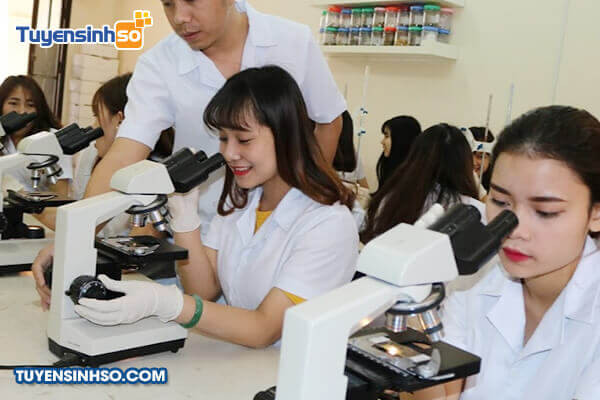 Một góc khuôn viên trường Cao đẳng Y Khoa Phạm Ngọc Thạch