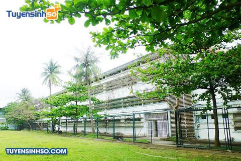 Đại học Sư phạm Kỹ thuật Đà Nẵng: Thông tin tuyển sinh mới nhất Một góc nhìn khác về tòa nhà chính của Đại học Sư phạm Kỹ thuật - Đại học Đà Nẵng