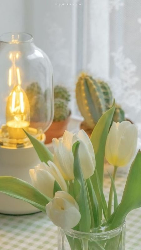 Một góc trang trí trên bàn của cô nàng yêu hoa tulip