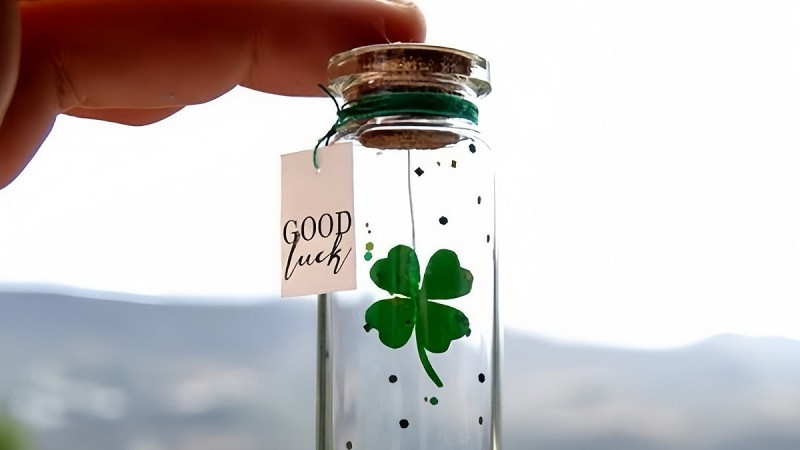 Một nhánh cỏ bốn lá đặt trên một viên đá trong tự nhiên