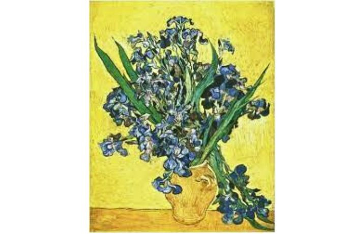 Một trong các tác phẩm Hoa diên vĩ cắm bình được Van Gogh vẽ sau bức tranh khu vườn