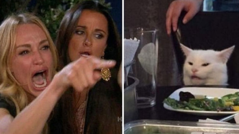 Một ví dụ về meme mèo bựa được chế với chữ