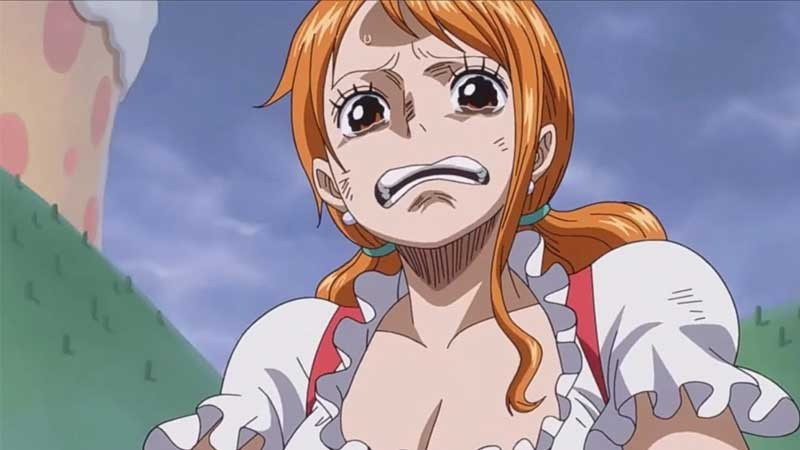 Nami và Zoro cùng nhau đối mặt với thử thách