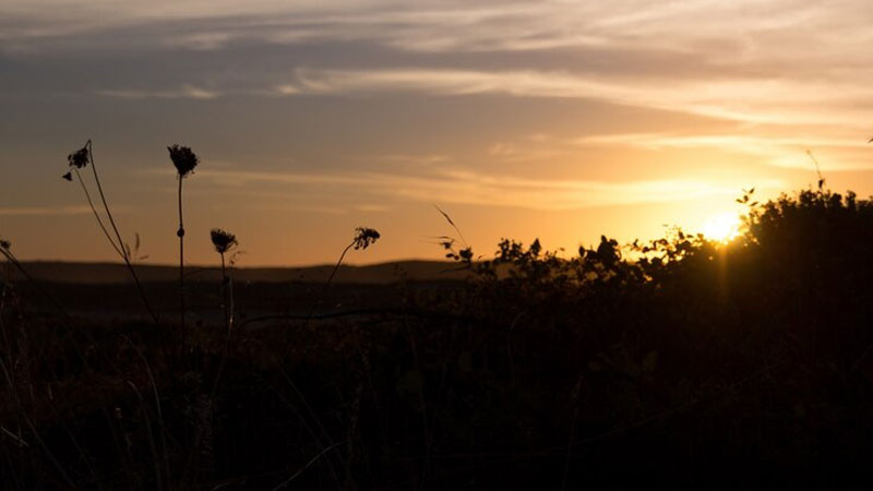 Nắng sớm chiếu rọi khung cảnh làng quê
