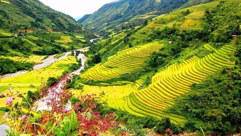 Ngắm nhìn hình ảnh làng quê Việt Nam gợi nhớ kỷ niệm