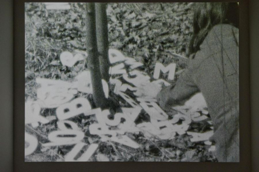 Nghệ sĩ Ewa Partum thực hiện Active Poetry, một tác phẩm nghệ thuật ý niệm về ngôn ngữ