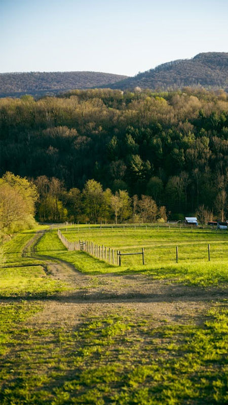 Ngôi nhà nhỏ giữa cảnh thiên nhiên tĩnh lặng trong ảnh lofi