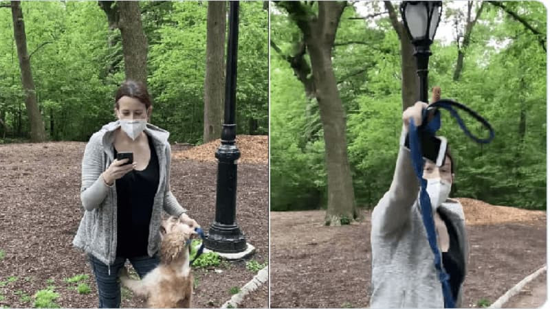 Người phụ nữ đi dạo cùng chó không xích trong công viên, một trường hợp được coi là Karen.