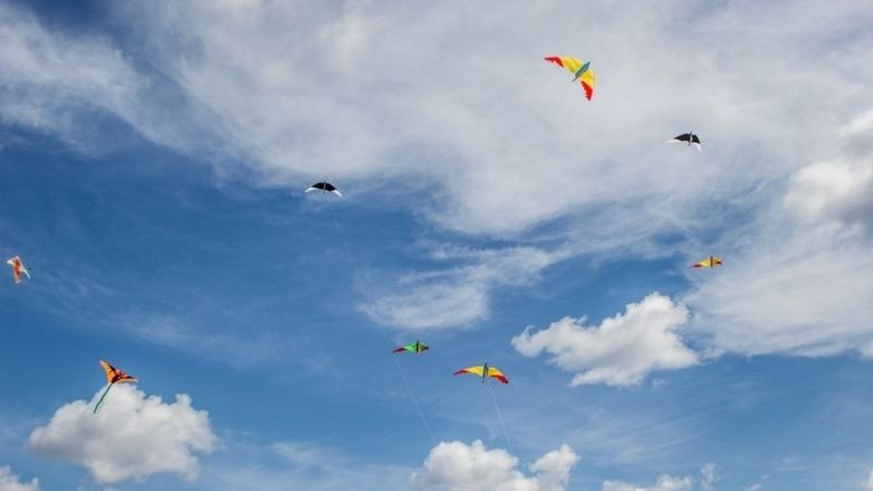 Nhiều cánh diều thi nhau bay lượn