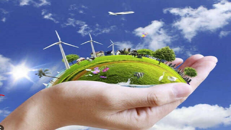 Nhóm người tình nguyện đang trồng cây, hoạt động bảo vệ tài nguyên rừng