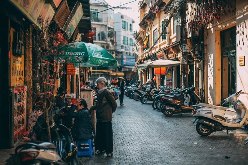 Những bông cúc họa mi trắng tinh khôi được bán trên phố