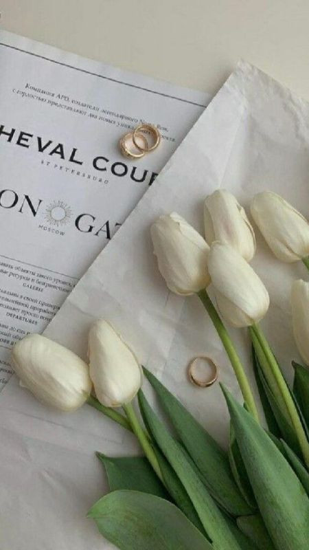 Những bông tulip trắng trong vườn, ảnh màu trắng hoa tulip