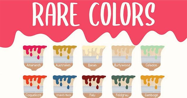 Khám phá những màu hoa hồng hiếm gặp và độc đáo như tím, cam, xanh, đen