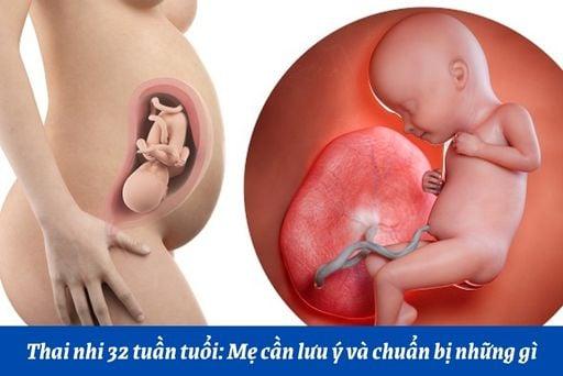 Hình ảnh nước ối mèo có màu lạ, dấu hiệu bất thường cần chú ý sức khỏe