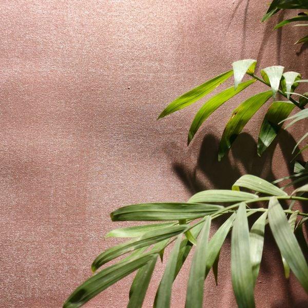 Phân biệt màu ánh kim, ánh nhũ và lấp lánh qua hiệu ứng bề mặt