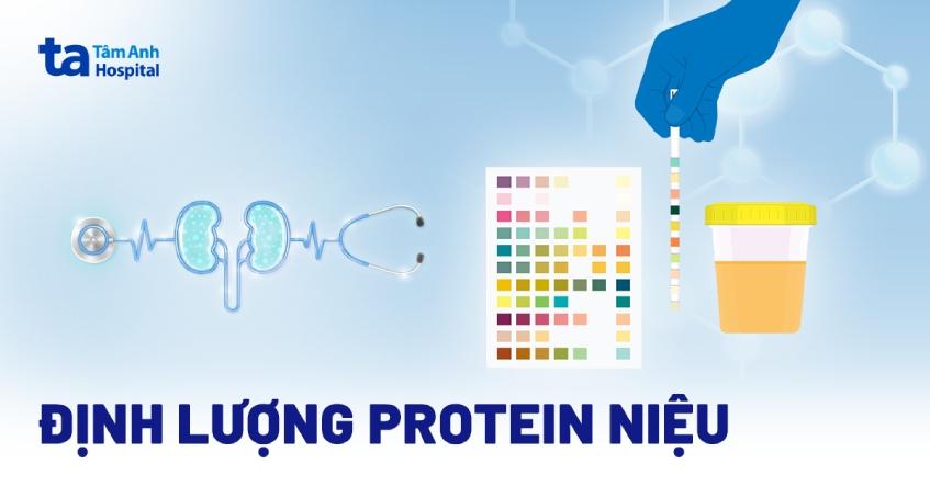 Phản ứng màu biure có màu gì? Giải thích chi tiết Hinh anh phan ung mau biure co mau gi khi co protein