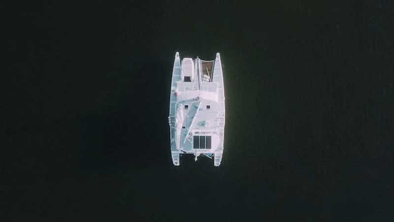 Phi hành gia và mèo ngồi trên mặt trăng nhìn về Trái Đất