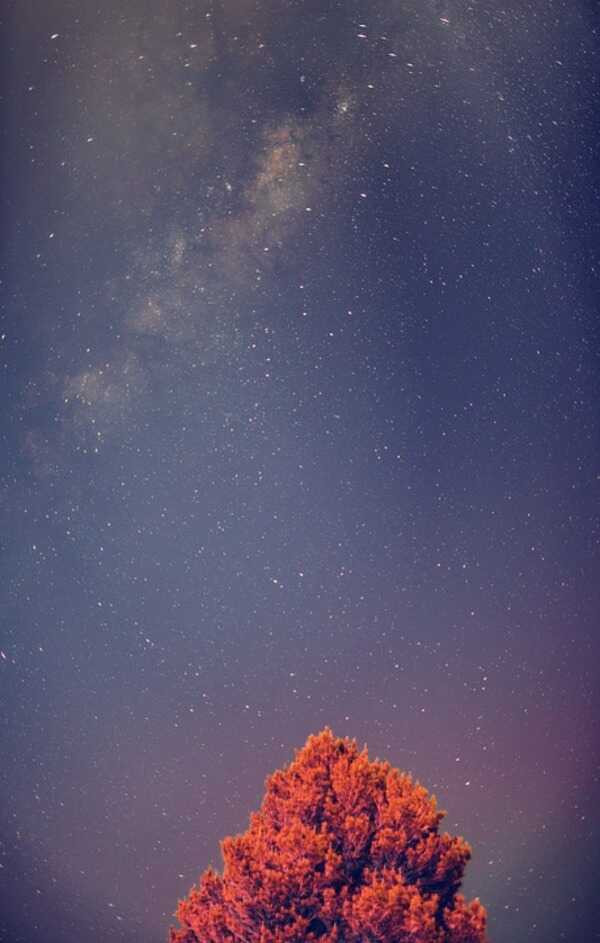 Phi hành gia và quả bóng bay hình hành tinh