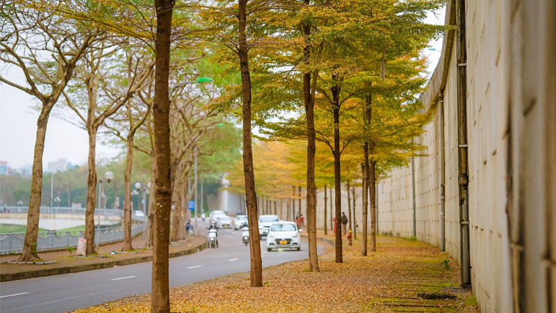 Phố cổ Hà Nội nhộn nhịp với kiến trúc truyền thống, thể hiện nét đặc trưng của ảnh đường phố thủ đô.