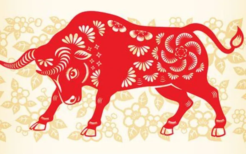 Cách phối màu hài hòa và hợp phong thủy cho người tuổi Kỷ Sửu trong cuộc sống và nghệ thuật