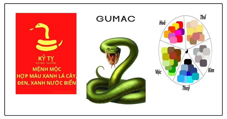 sinh năm 1989 hợp màu gì
