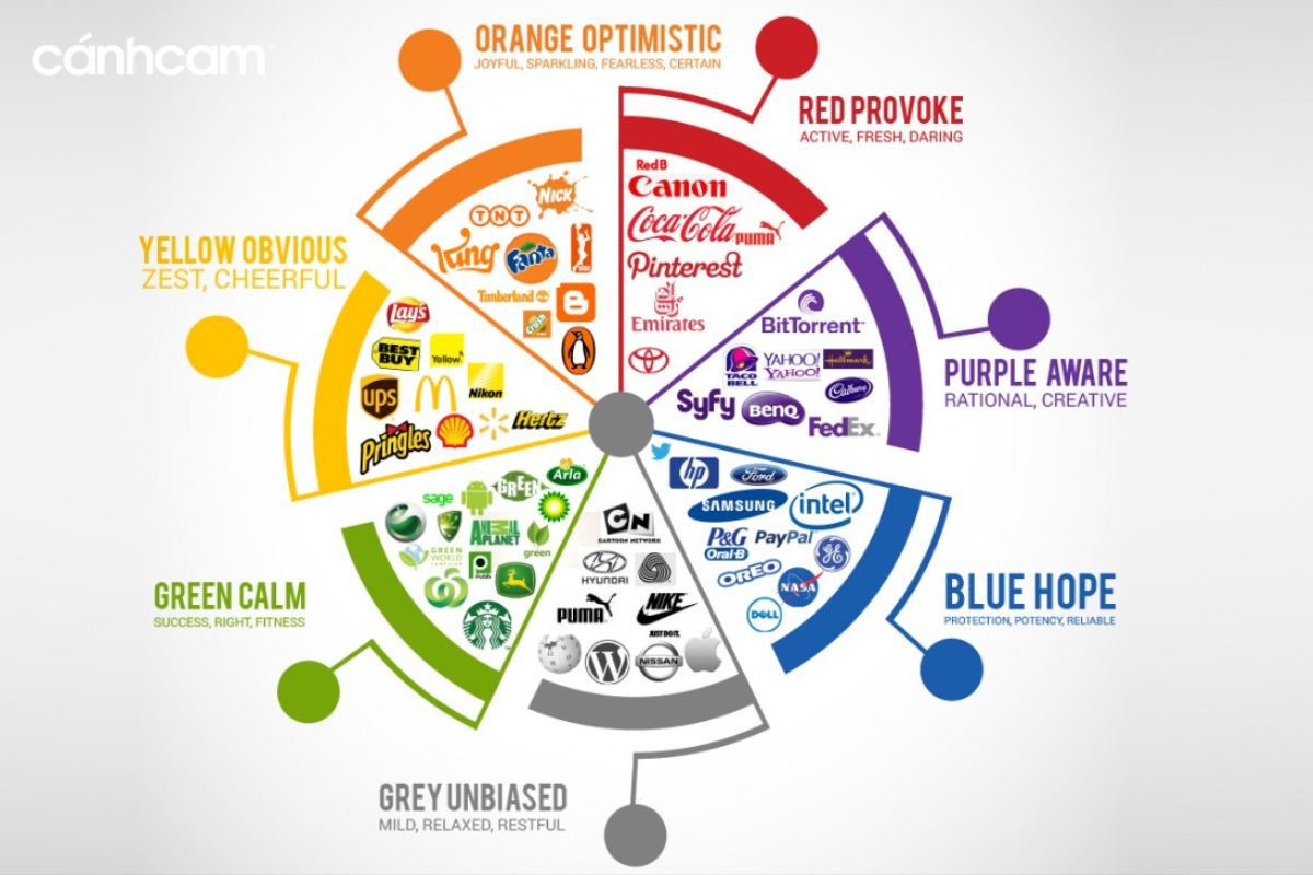 Cac cach phoi mau purple an tuong trong thiet ke noi that thoi trang branding