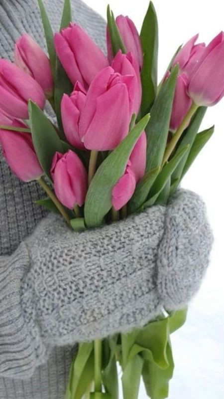 Phong cách nhẹ nhàng của nàng vào thu hoặc xuân cùng hoa tulip