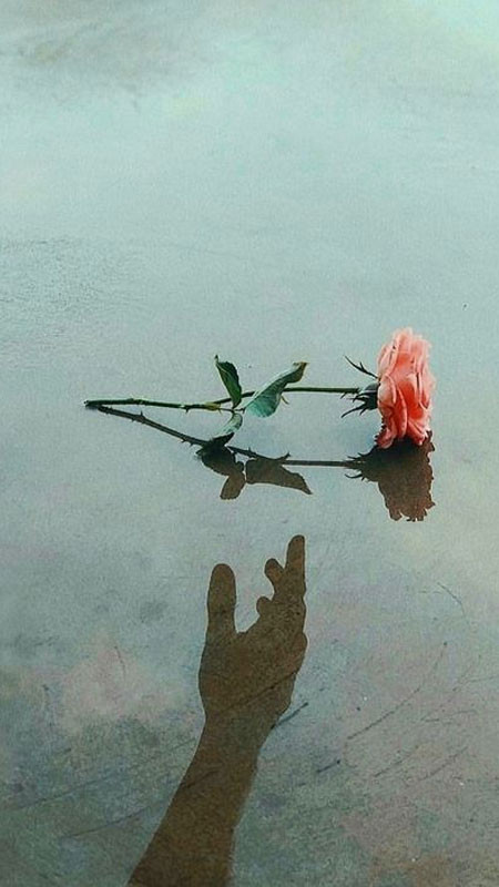 Phong cảnh đơn giản nhưng đầy ý nghĩa, là hình ảnh buồn khóc không lời