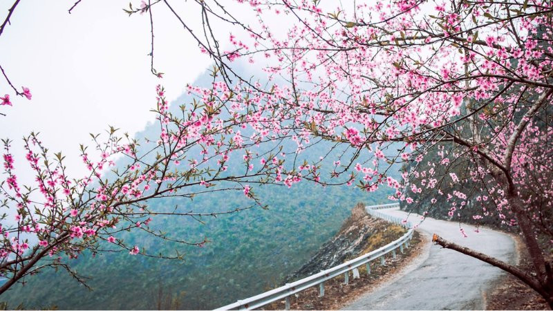 Phong cảnh thiên nhiên rộng lớn với núi non, cây cối và mây trời mùa xuân