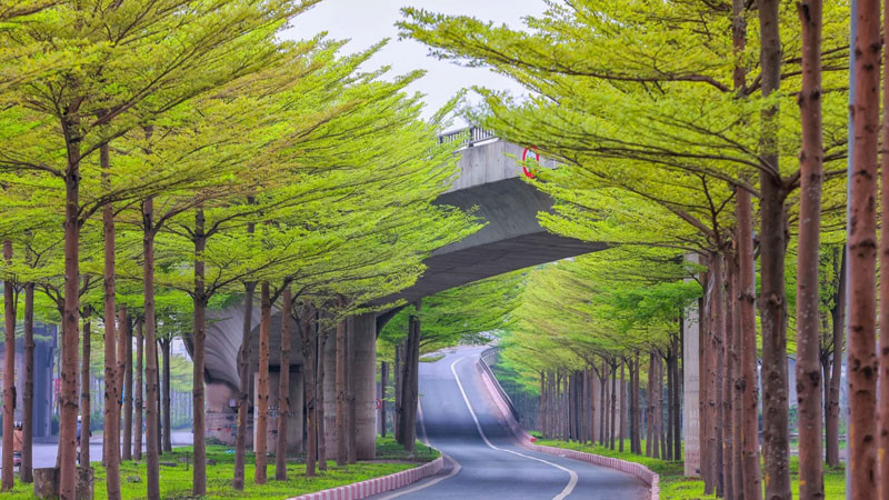 Quán cà phê vỉa hè đặc trưng của Hà Nội, nơi cuộc sống diễn ra sôi động và là chủ đề yêu thích trong ảnh đường phố.