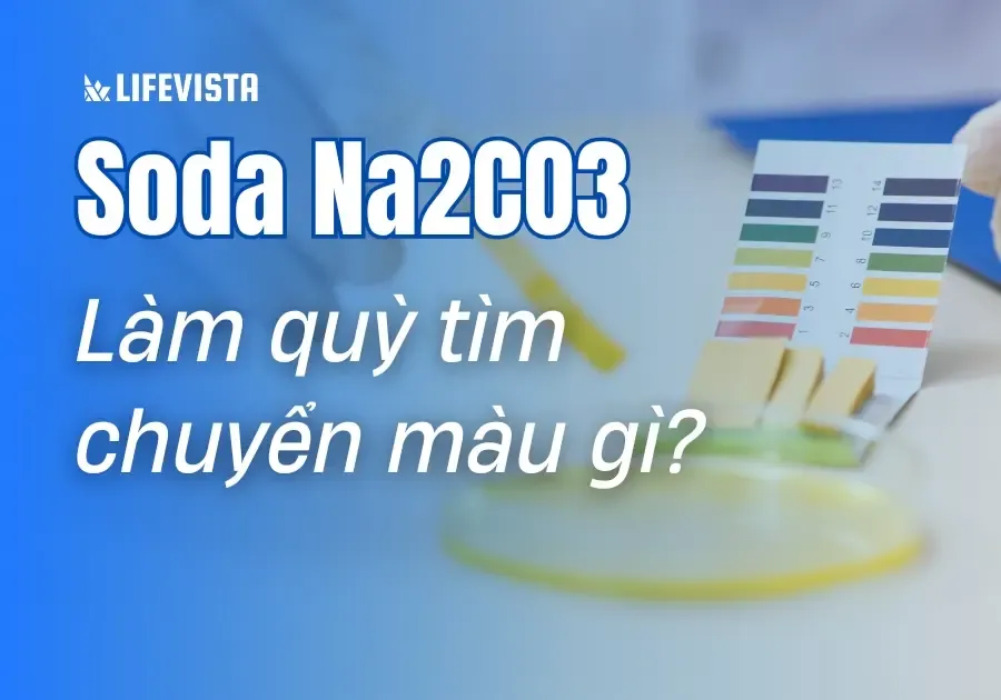 Giấy quỳ tím đỏ chuyển màu xanh khi nhúng vào dung dịch natri cacbonat