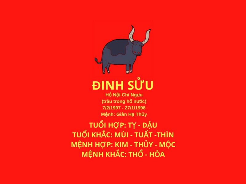 Sac mau hop voi tuoi Dinh Suu 1997 menh Thuy theo phong thuy