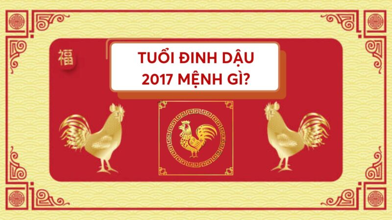 Các màu sắc tương sinh và tương hợp cho người sinh năm Đinh Dậu 2017 mệnh Hỏa