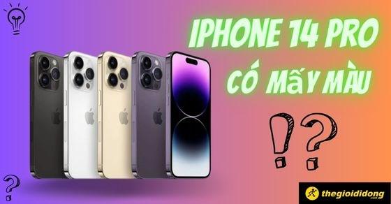 Sắc tím đậm độc đáo trong bảng màu 14prm có màu gì