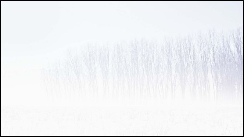 Sắc trắng kem làm hình nền máy tính, ảnh màu trắng trơn