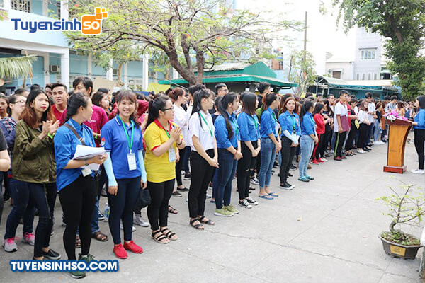 Sinh viên HCE tham gia hoạt động ngoại khóa hoặc buổi tư vấn