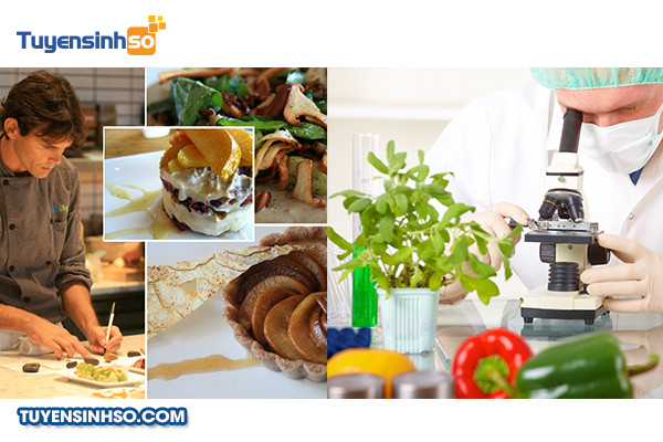 Sinh viên tốt nghiệp ngành công nghệ thực phẩm làm việc tại nhà máy chế biến