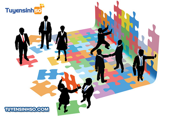 Sơ đồ các vị trí công việc đa dạng trong lĩnh vực quản lý nhân sự, thể hiện cơ hội phát triển nghề nghiệp