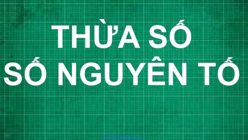 Sơ đồ minh họa quá trình phân tích số 48 thành thừa số nguyên tố