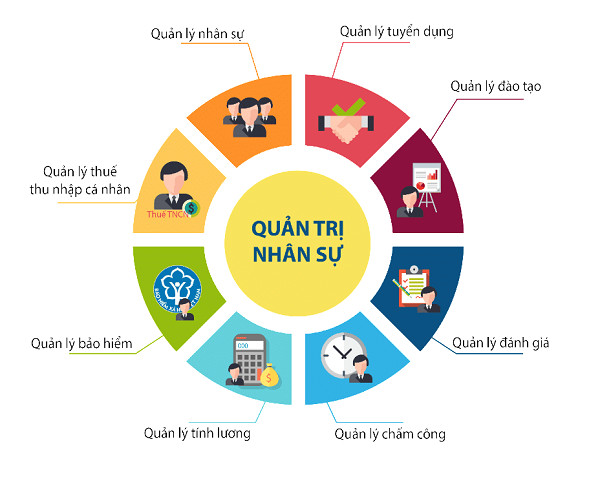 Sơ đồ mô tả các công việc chính của một nhân viên C&amp;B, chi tiết các nhiệm vụ tính lương, bảo hiểm, quản lý hồ sơ nhân sự.