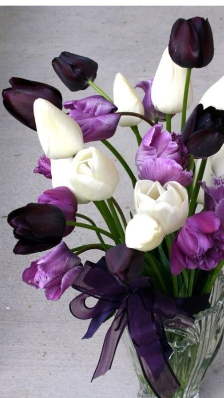 Sự kết hợp của bộ ba gam màu: Trắng, đen và tím của tulip