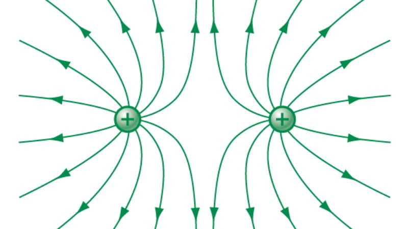 Sự khác biệt giữa đường sức điện trường (mở) và đường sức từ trường (kín).
