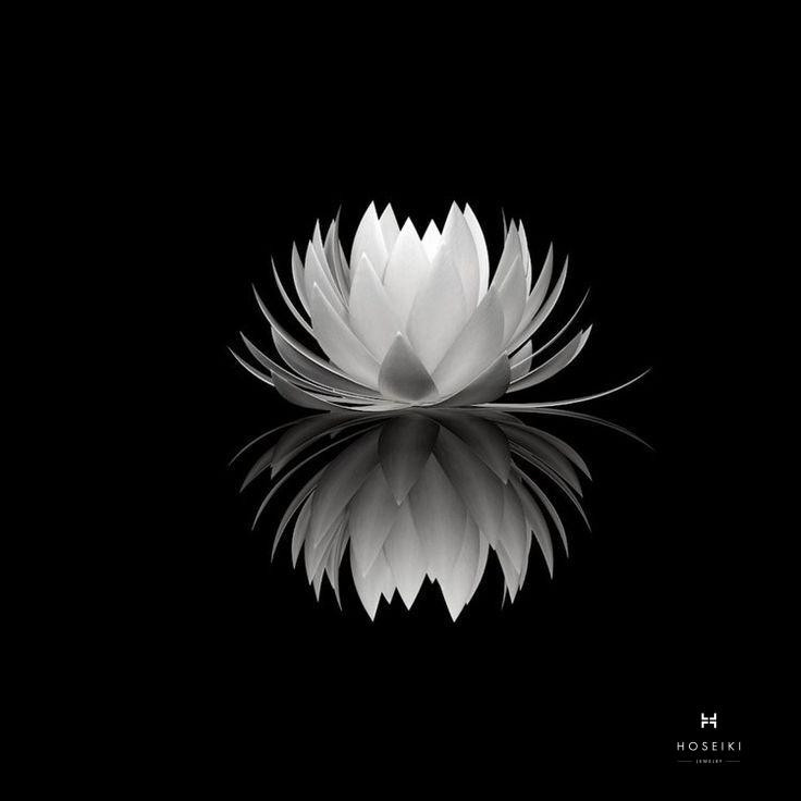 Sự tĩnh lặng của ảnh hoa sen trắng đen đám tang như lời cầu nguyện bình an