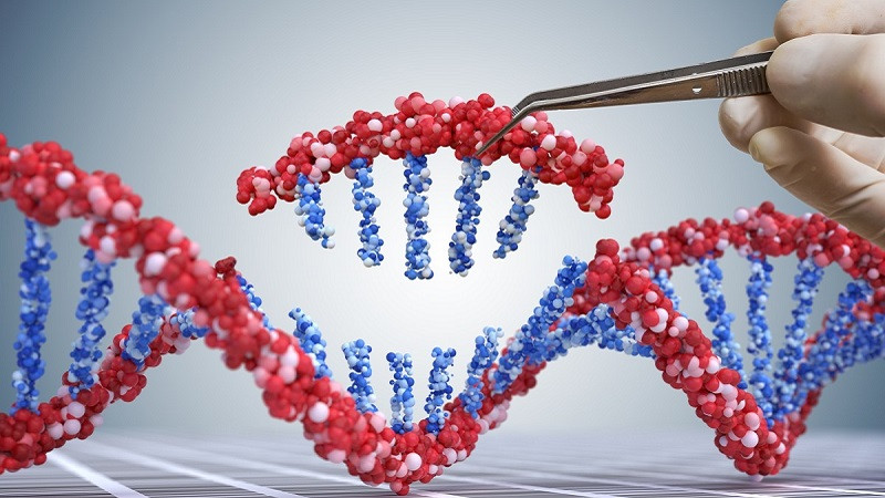 Tác động có hại của đột biến gen đối với sức khỏe và cơ thể