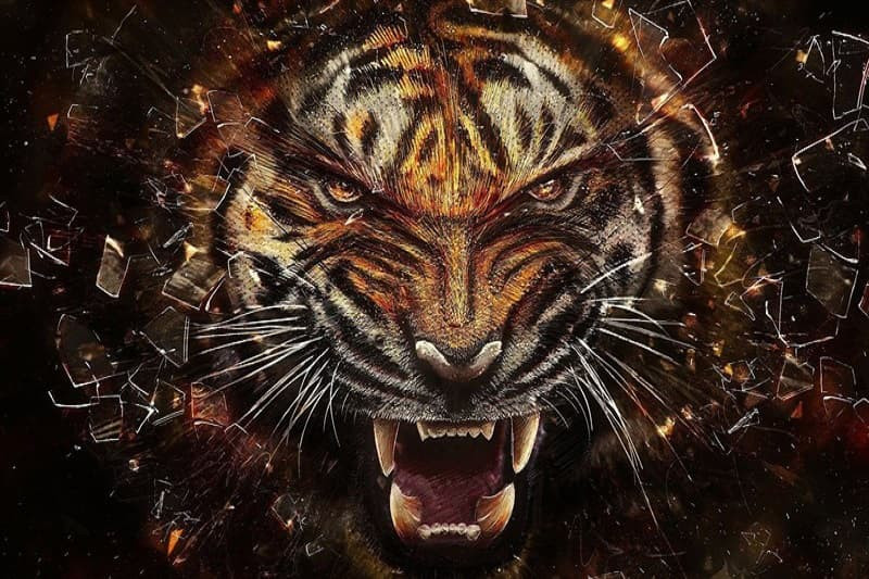 Tác phẩm nghệ thuật hổ 3D với vẻ ngoài dữ dằn