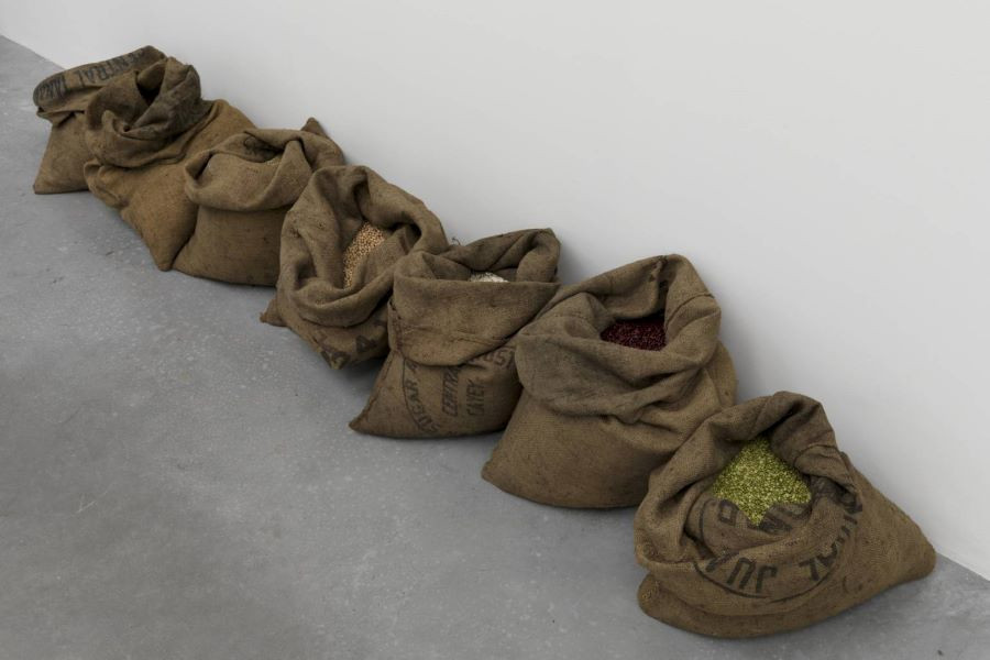 Tác phẩm sử dụng vật liệu đời thường của Jannis Kounellis, minh chứng cho nghệ thuật ý niệm Arte Povera