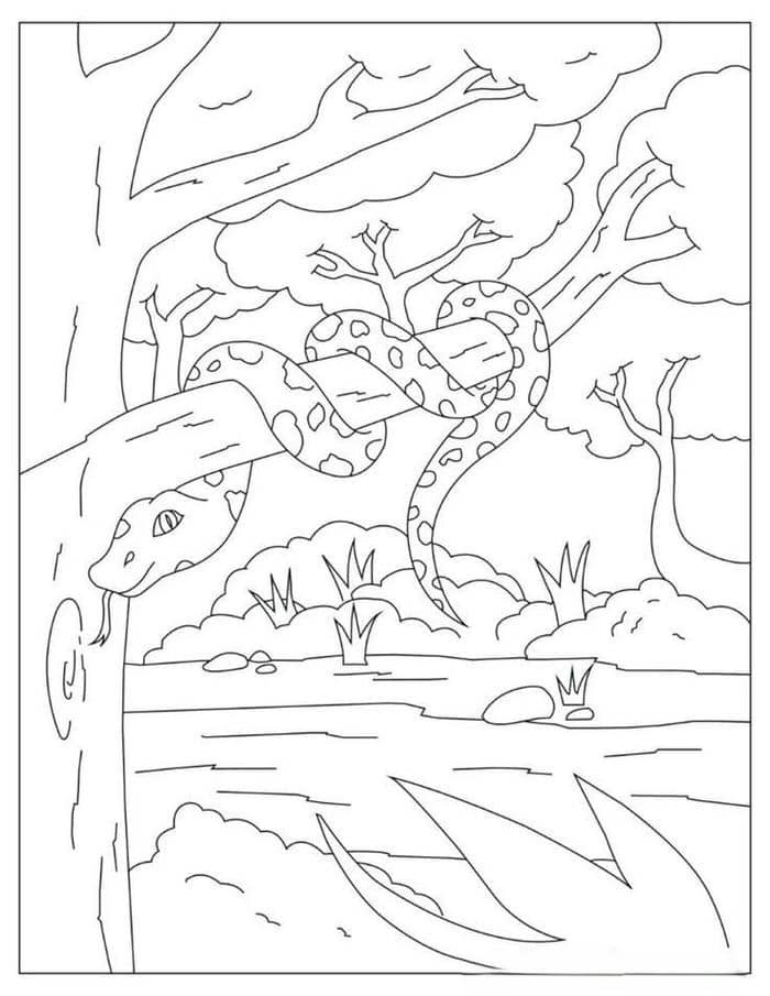 Tải tranh tô màu con rắn uốn lượn đẹp mắt