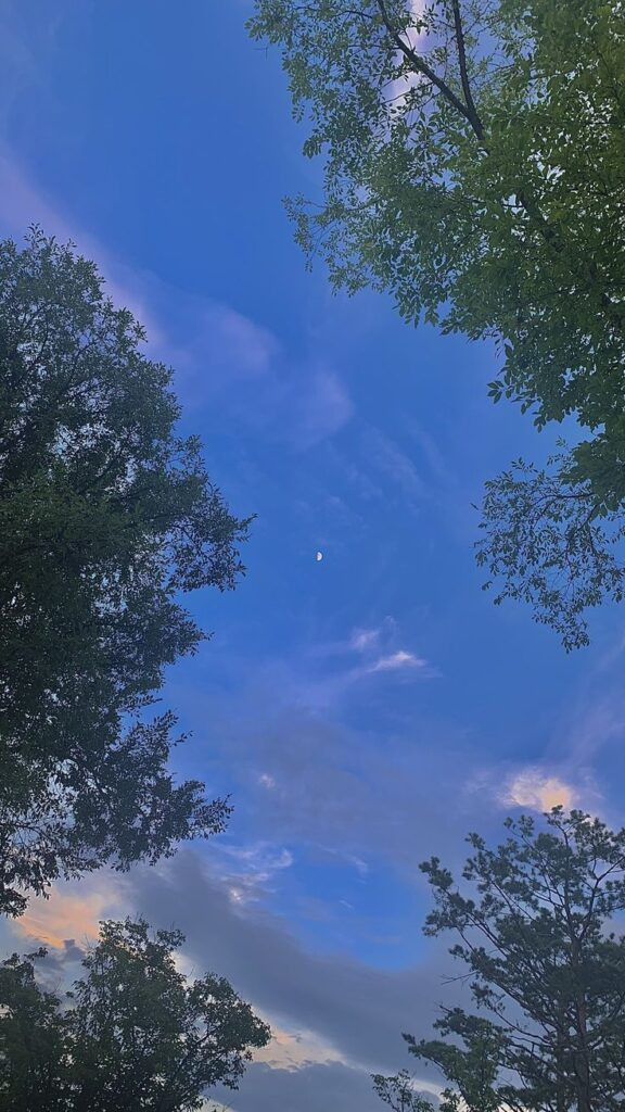 Thác nước hùng vĩ đổ xuống làm background điện thoại