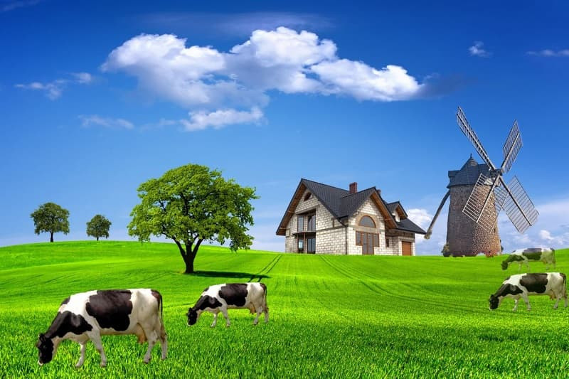 Thảo nguyên xanh với những đám mây trắng bồng bềnh, ảnh cây xanh bầu trời